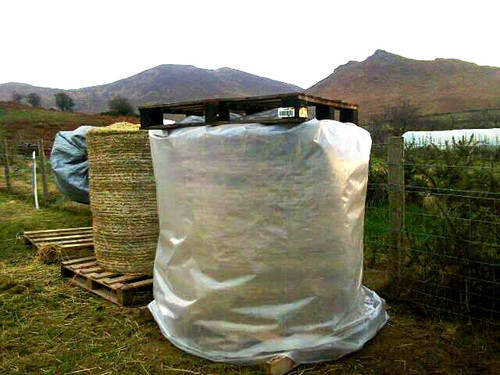5ft hay straw big - hay, round